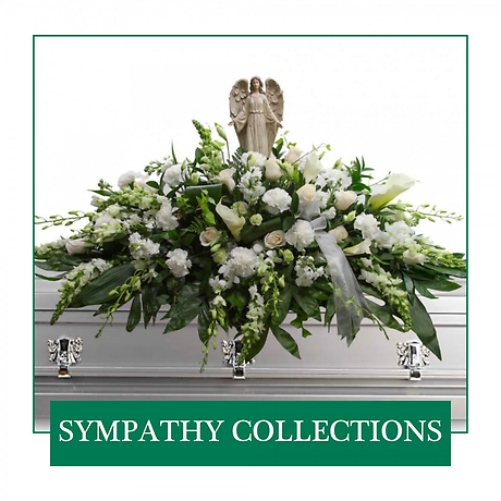 Sympathy Collections