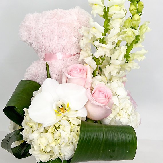 Beary Excited Arrangement - Girl