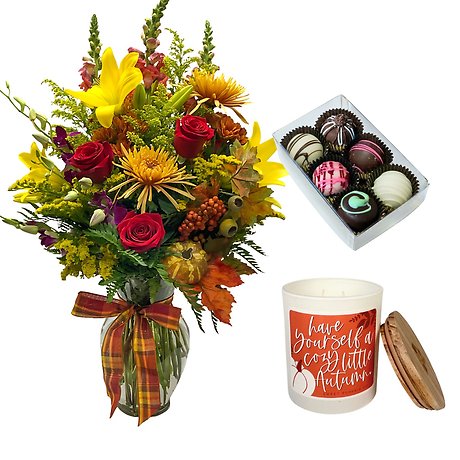 Toasted Pumpkin Package